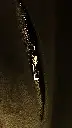 20250726_190343.webp